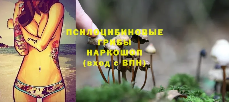 кракен ССЫЛКА  Еманжелинск  Псилоцибиновые грибы Cubensis 