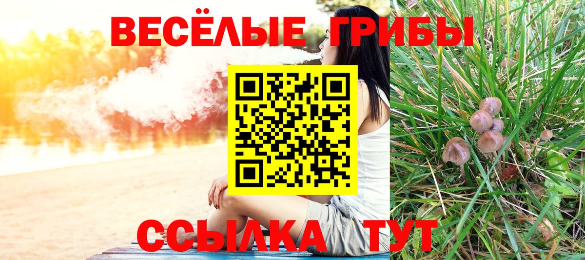 Галлюциногенные грибы прущие грибы  Псилоцибиновые грибы мухоморы  Еманжелинск  Вход с VPN 