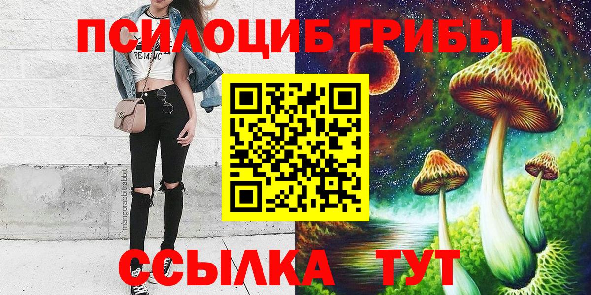 Галлюциногенные грибы Psilocybe  Еманжелинск 