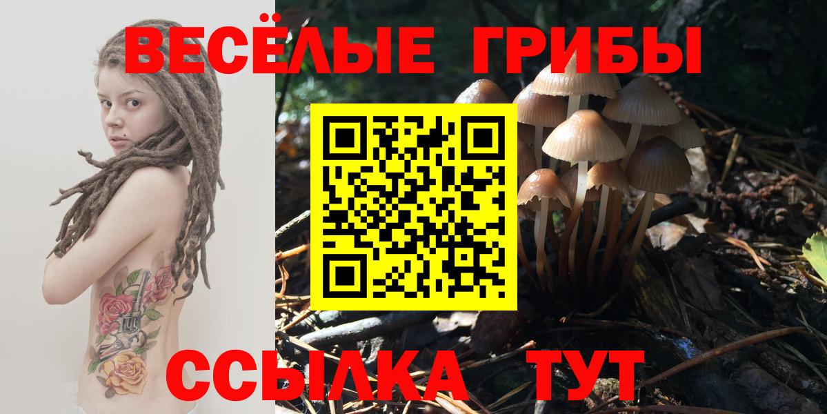 Псилоцибиновые грибы GOLDEN TEACHER Еманжелинск